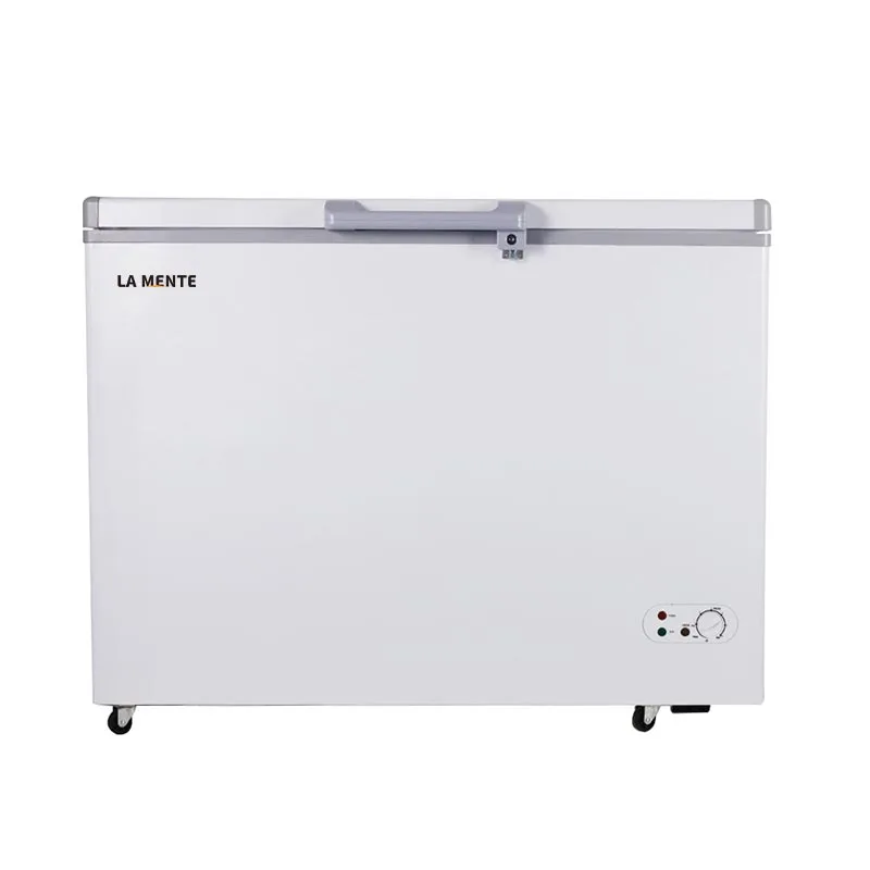 AC DC Freezer