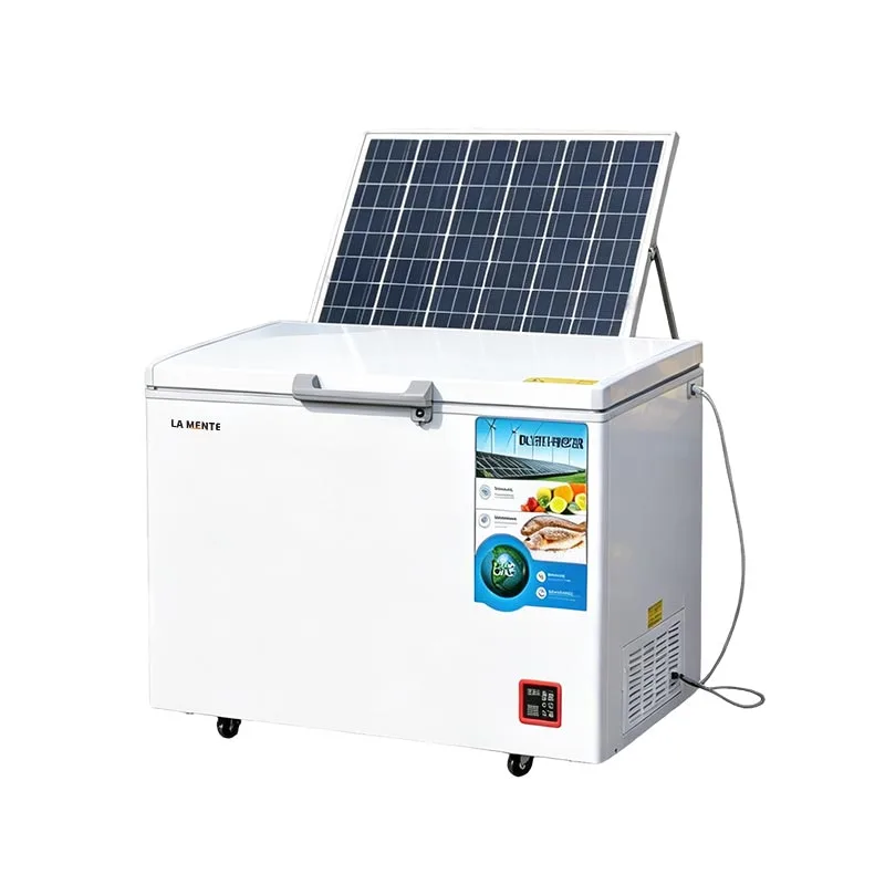 Portable Solar Freezer