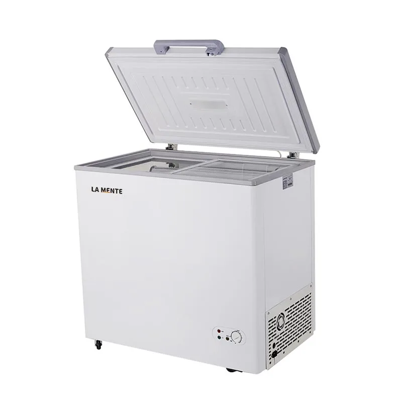 Solar Powered Deep Freezer